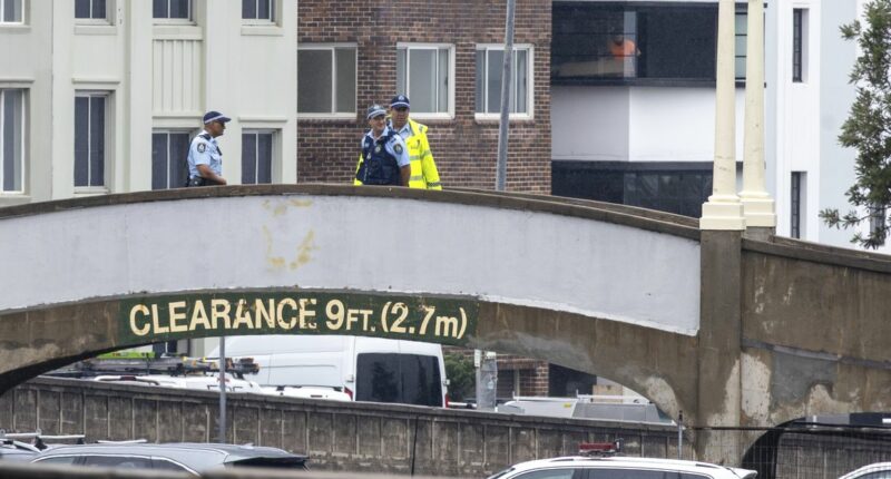 Second man charged after alleged offensive conduct on bridge where Bondi shooting occurred