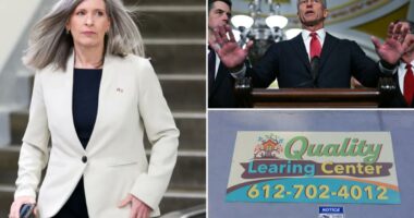 Senate Republicans unveil suite of anti-fraud bills to save $240B