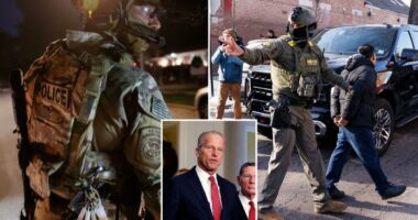 Senate passes budget plan for ICE and Border Patrol in bid to reopen Homeland Security