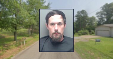 'She had to go': Man repeatedly stabbed his own mother to death with a knife and then called 911 on himself