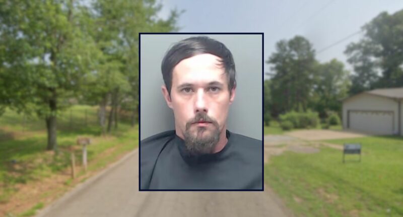 'She had to go': Man repeatedly stabbed his own mother to death with a knife and then called 911 on himself