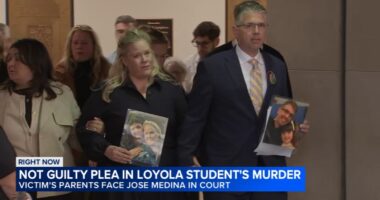 Sheridan Gorman murder: Suspected killer Jose Medina pleads not guilty, faces victim's parents Tom and Jessica in court