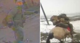 Shocking footage shows Ukrainian drones hunting down Russian troops sneaking behind enemy lines on horseback