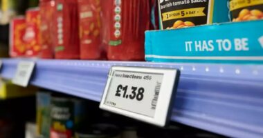 Shoppers face surge in 'dynamic pricing'
