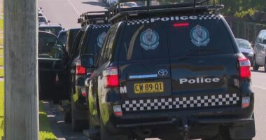 Shots fired at three homes in Sydney, police say