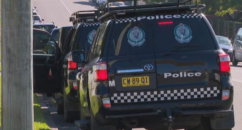 Shots fired at three homes in Sydney, police say