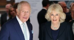 Should the King and Queen meet Harry and Meghan while they're in the US? Have your say in the Palace Confidential poll