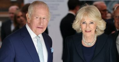 Should the King and Queen meet Harry and Meghan while they're in the US? Have your say in the Palace Confidential poll