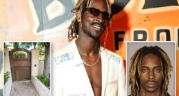 Sick influencer learns fate after raping women in fire-damaged Palisades mansion he pretended to own