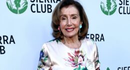 Silicon Valley has a new congressional stock-trading king