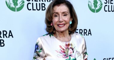 Silicon Valley has a new congressional stock-trading king