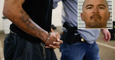 Sinister web unravels after massive FBI bust of Mexican Mafia crooks -- with kingpin 'Gangster' at the helm