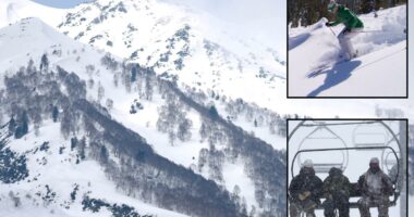 Skiers rejoice as late-season snowstorm to dump several feet of powder on California resorts