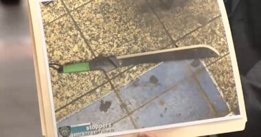 Slashing suspect shot by police after injuring 3 at Grand Central subway station in New York