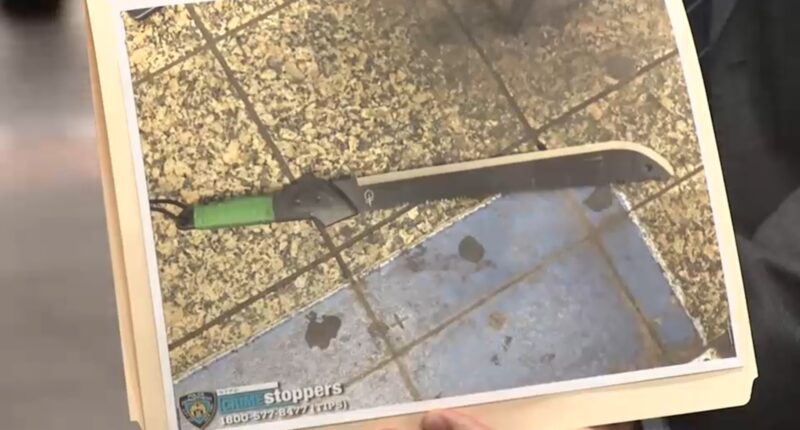 Slashing suspect shot by police after injuring 3 at Grand Central subway station in New York