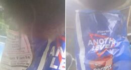 Sneaky bear snatches bag of Doritos left outside CT home, video shows