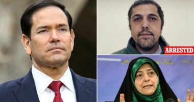 Son and daughter-in-law of Iran's notorious propaganda boss who were caught living luxury life in Los Angeles are ARRESTED