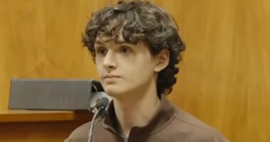 Son hints he's DISOWNED doctor dad 'who tried to push wife off cliff'