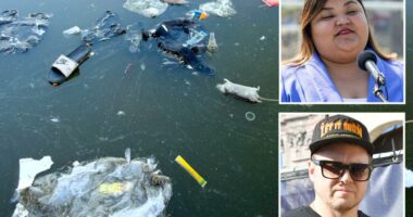 Spencer Pratt blasts LA's $40M MacArthur Park plan