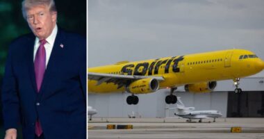 Spirit Airlines could be used to transport troops, military cargo if Trump admin takes over bankrupt carrier: reportÂ 