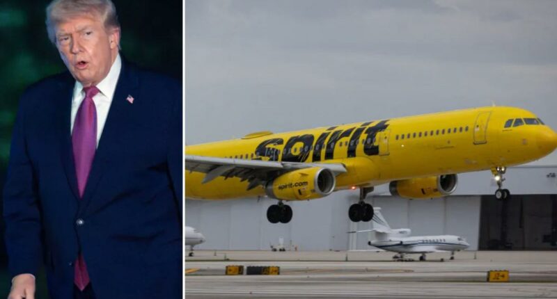 Spirit Airlines could be used to transport troops, military cargo if Trump admin takes over bankrupt carrier: reportÂ 