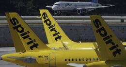 Spirit Airlines 'pleads for help from Trump' as collapse looms