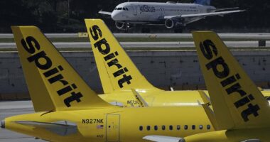Spirit Airlines 'pleads for help from Trump' as collapse looms
