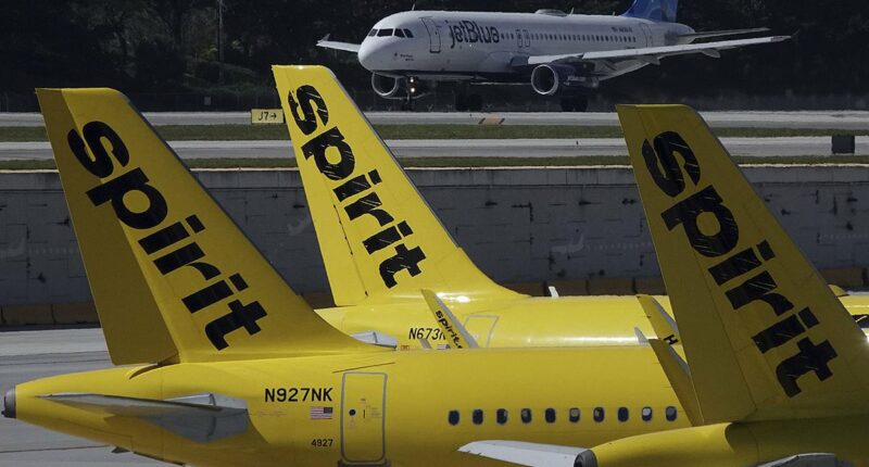Spirit Airlines 'pleads for help from Trump' as collapse looms