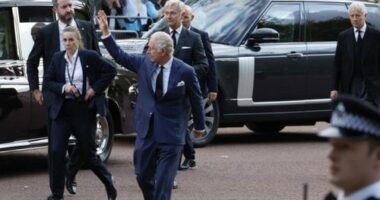 Spotlight on King's security as palace confirms US visit will proceed