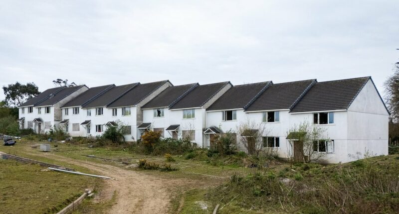 Squatters 'move onto ghost estate with rottweilers to offer security'