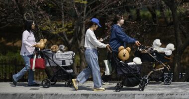 Stark warning for the West as South Korean women shun sex and marriage