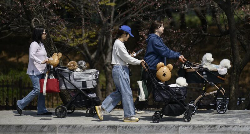 Stark warning for the West as South Korean women shun sex and marriage