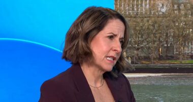 Starmer 'would have blocked Mandelson from US role over vetting'