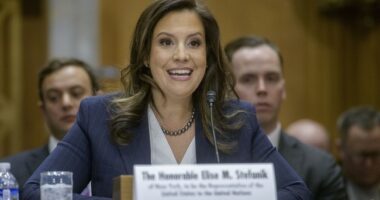 Stefanik Shreds Liberal Media Host in Heated Exchange Over 'Genocide' in Iran and Viral Trump Post