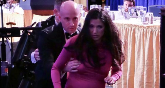 Stephen Miller's wife sets record straight over 'human shield' claims