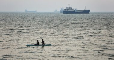 Strait of Hormuz could be closed for at least six months