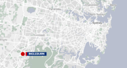 Stray cat feeders assaulted, knocked unconscious in Western Sydney