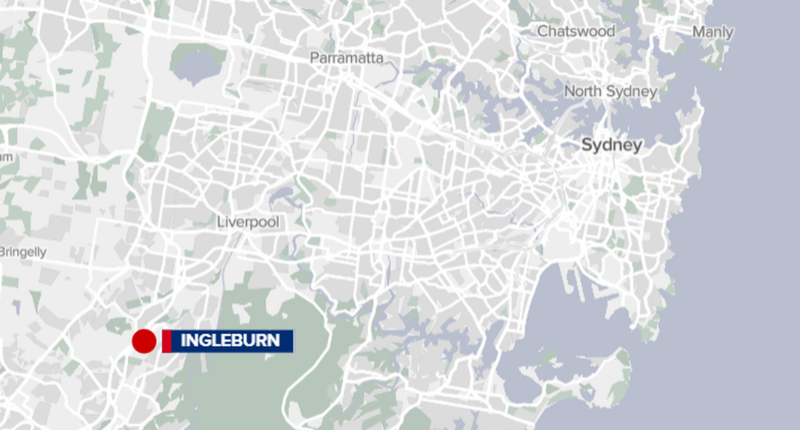 Stray cat feeders assaulted, knocked unconscious in Western Sydney