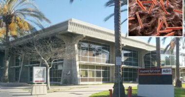 Students exposed to drug-resistant super-strain of TB at Southwestern College