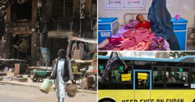 Sudan enters its 4th year of war as officials lament an âabandoned crisisâ