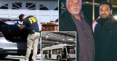 Surprise FBI raid in Lancaster linked to influential Chinese automaker BYD