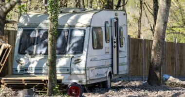 Surrey town becomes latest victim of traveller 'land grab'