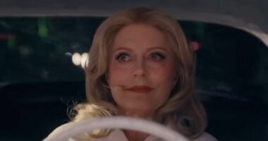 Susan Sarandon makes surprise cameo at Coachella