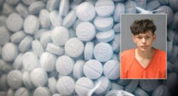 Suspect in ICE custody after fentanyl, cocaine hits deputy in face