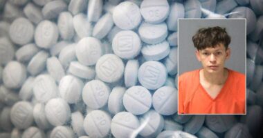 Suspect in ICE custody after fentanyl, cocaine hits deputy in face