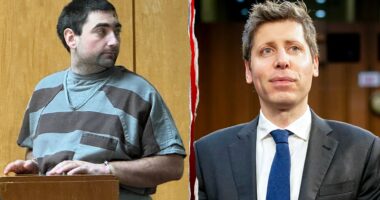 Suspect in Sam Altman Molotov cocktail plot cries meltdown, not attempted murder, as judge keeps him locked up