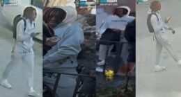 Suspect who fled US arrested in connection with caught-on-camera killing of 15-year-old in NYC park