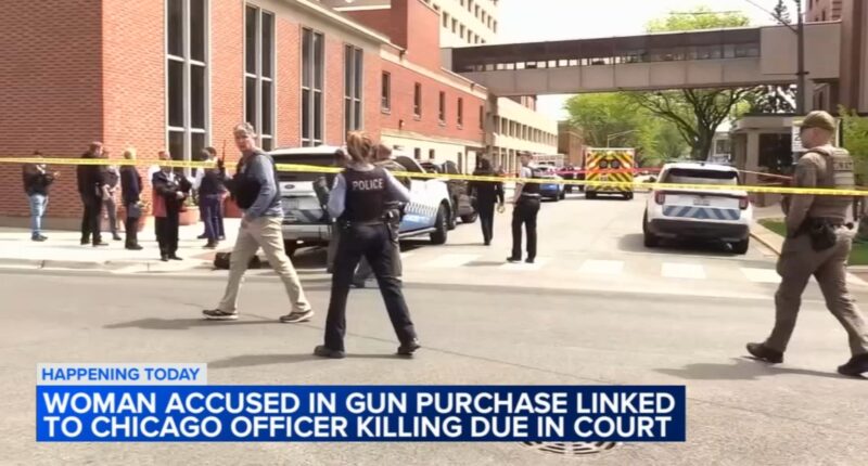 Swedish Hospital shooting: Indiana woman in court in connection with shooting that killed CPD Officer John Bartholomew