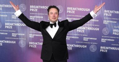 TOM LEONARD: How Elon Musk could become the world's most powerful man