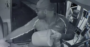 Tanner Horner filmed cleaning his van after murdering Athena Strand, 7